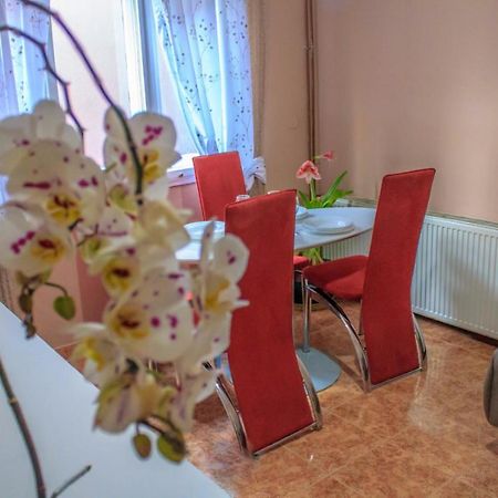 Bb Downtown Apartment Bajina Basta Exteriér fotografie