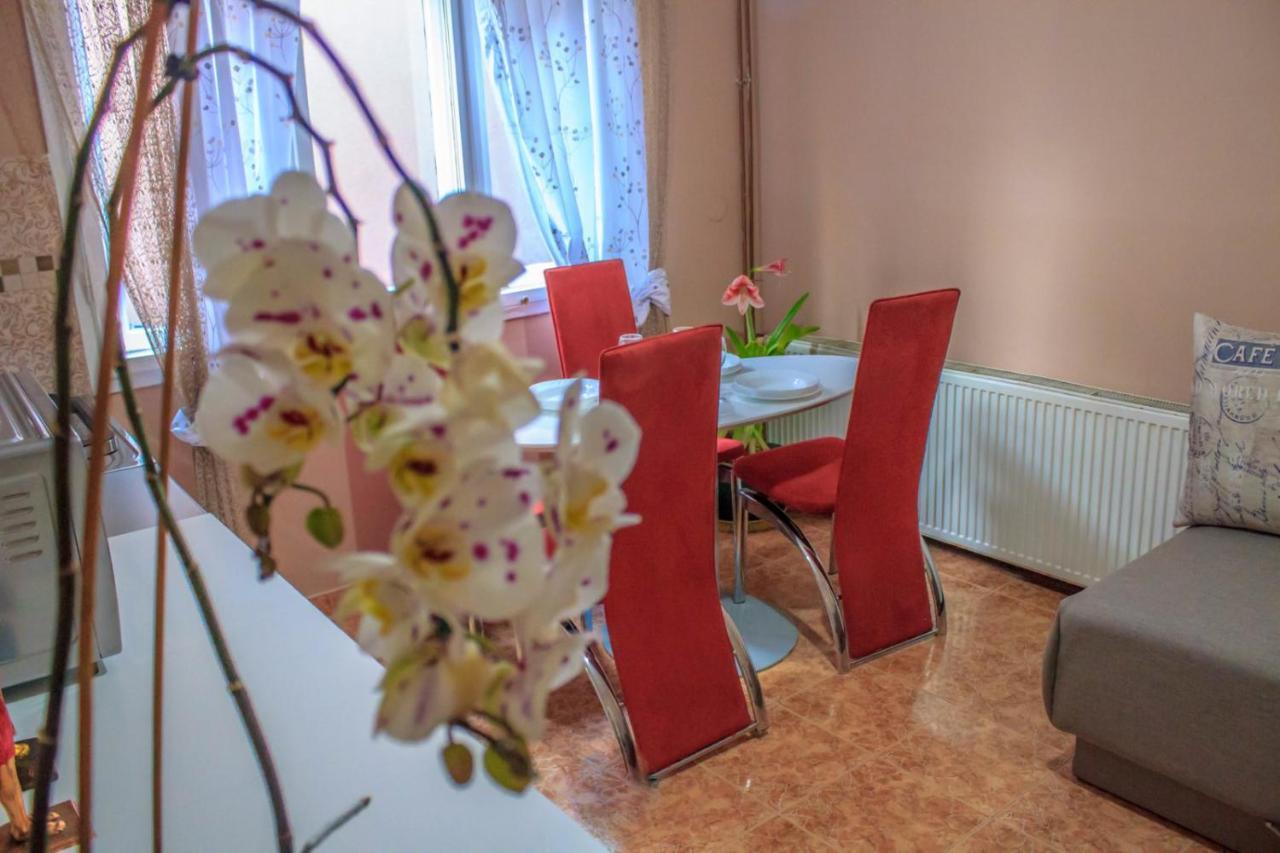 Bb Downtown Apartment Bajina Basta Exteriér fotografie